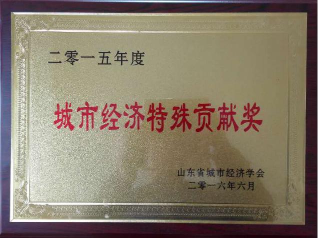 2015年城市经济特殊贡献奖