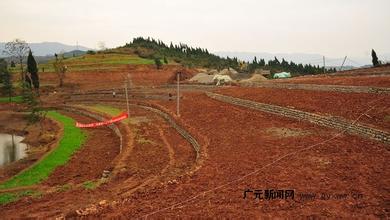 上海市奉贤区土地开发整理项目