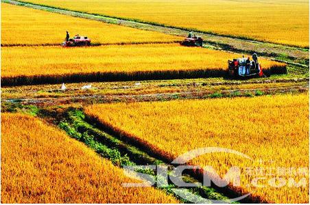 宁津县新增千亿斤粮食产能项目